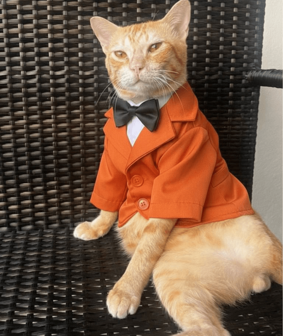 Capture decran 2026 03 24 163827