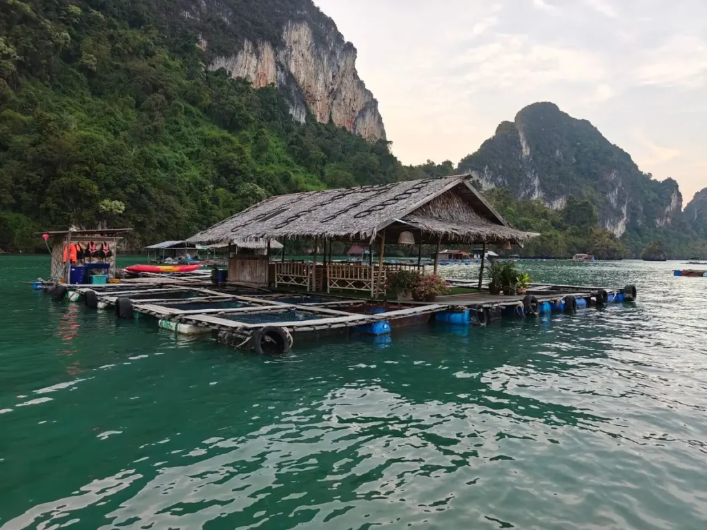 Ferme aquacole flottante sur les eaux de la baie de Phang Nga, entourée de falaises karstiques à Laem Sak