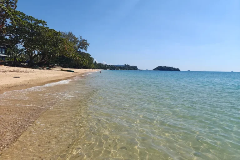 Eaux cristallines et sable doré de la plage de Klong Muang sous un ciel bleu pur, bordée d'arbres tropicaux, province de Krabi.