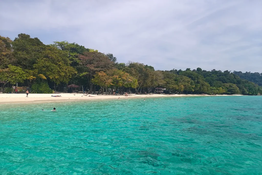 Eaux turquoise transparentes et snorkeling à Koh Rok, l'un des plus beaux spots de Thaïlande