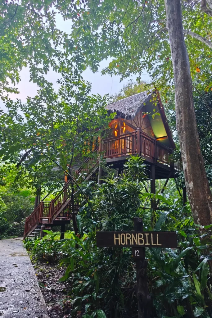 our-jungle-house-003