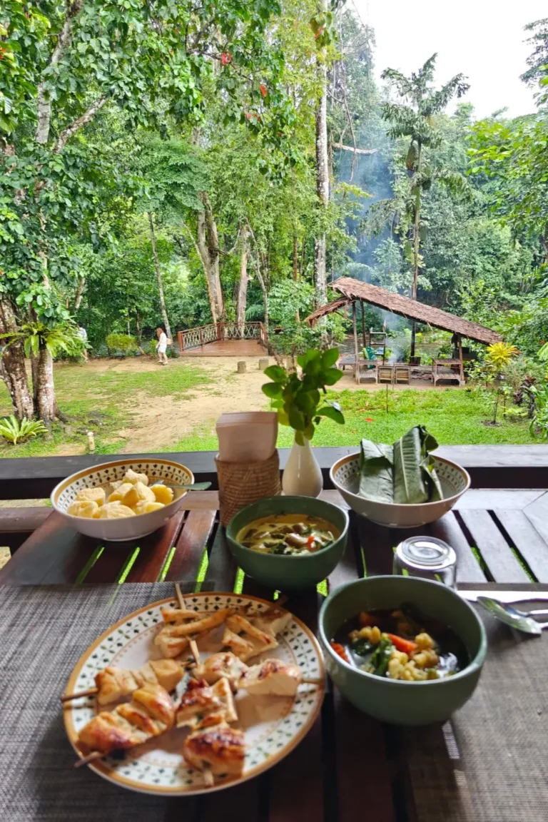 Petit-déjeuner traditionnel dans un hôtel de au parc national de Khao Sok avec vue sur la rivière et la forêt tropicale.