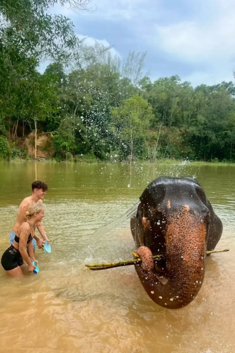 love-elephant-sanctuary-001