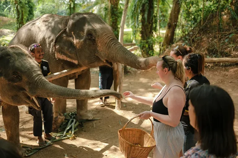 love-elephant-sanctuary-003