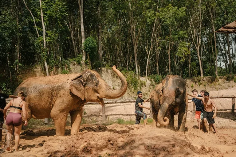 love-elephant-sanctuary-005