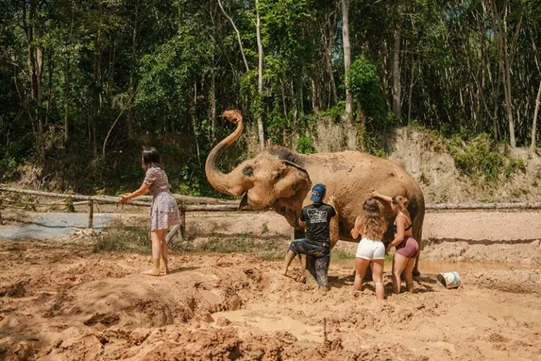 love elephant sanctuary 006