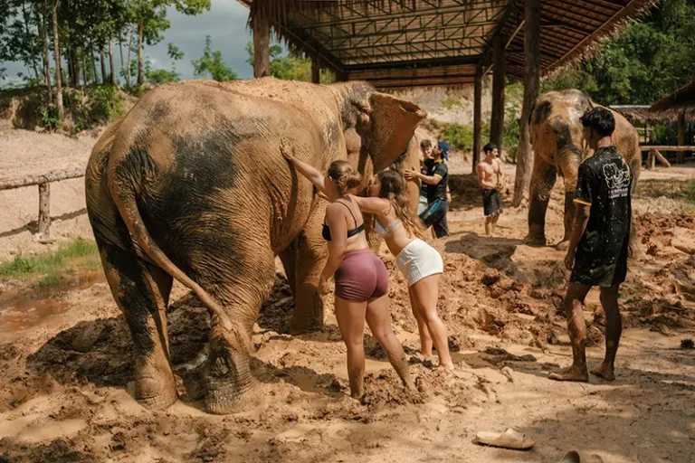 love-elephant-sanctuary-007