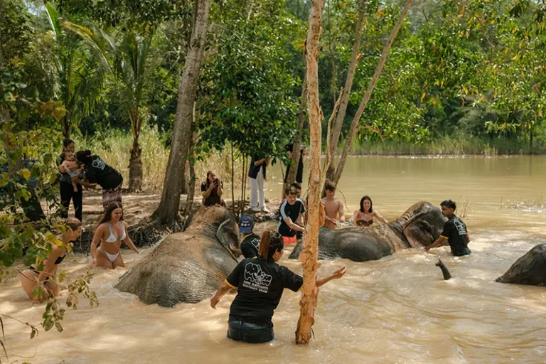 love-elephant-sanctuary-008