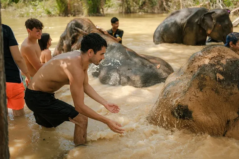 love-elephant-sanctuary-009