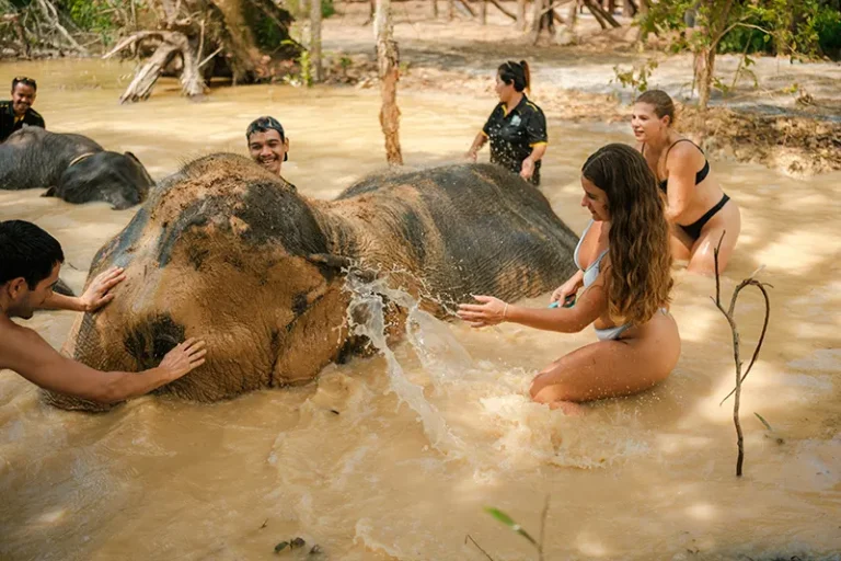 love-elephant-sanctuary-010