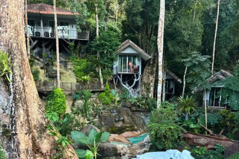 Essence du Sud 18 Ensemble de bungalows Rock & Tree House perchés sur les rochers au cœur de la forêt de Khao Sok, avec terrasses privatives et bassin naturel, idéal pour une excursion lac Cheow Lan