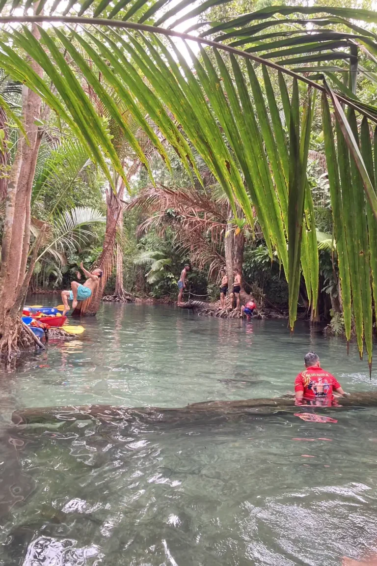 din-daeng-doi-&-klong-root-07
