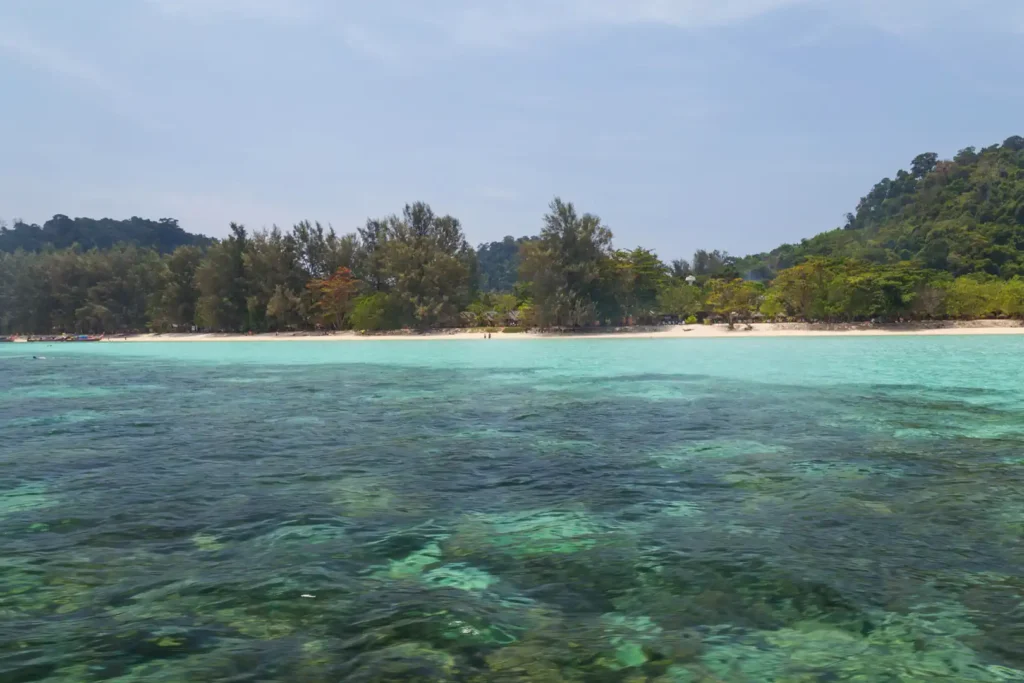 Les iles de Trang 14 Récif corallien visible sous une eau turquoise cristalline face à la plage de Koh Ngai, Thaïlande
