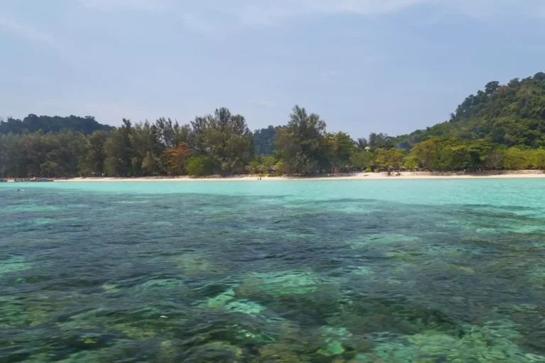 Récif corallien visible sous une eau turquoise cristalline face à la plage de Koh Ngai, Thaïlande