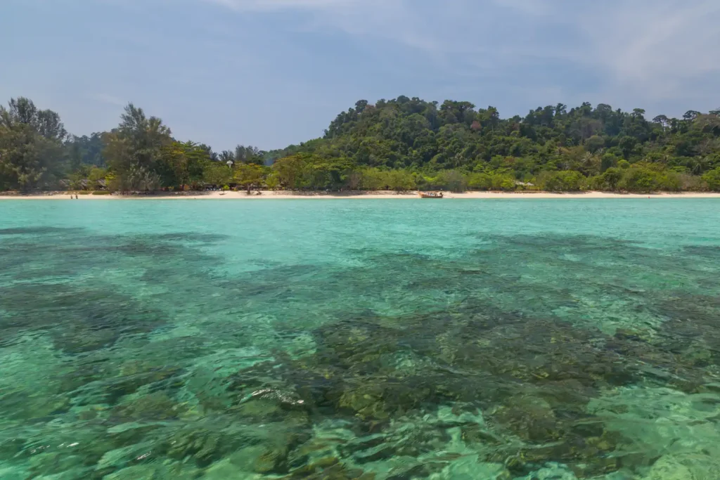 Les iles de Trang 15 Bateau à longue queue amarré près des récifs de Koh Ngai, plage bordée de palmiers