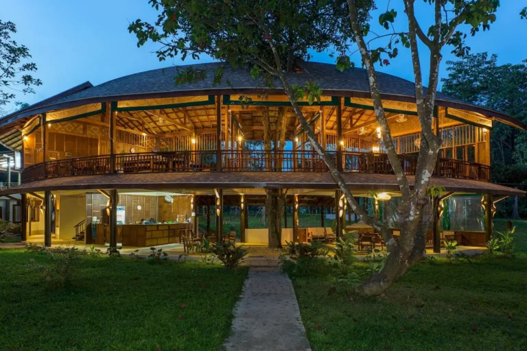 our-jungle-camp-01