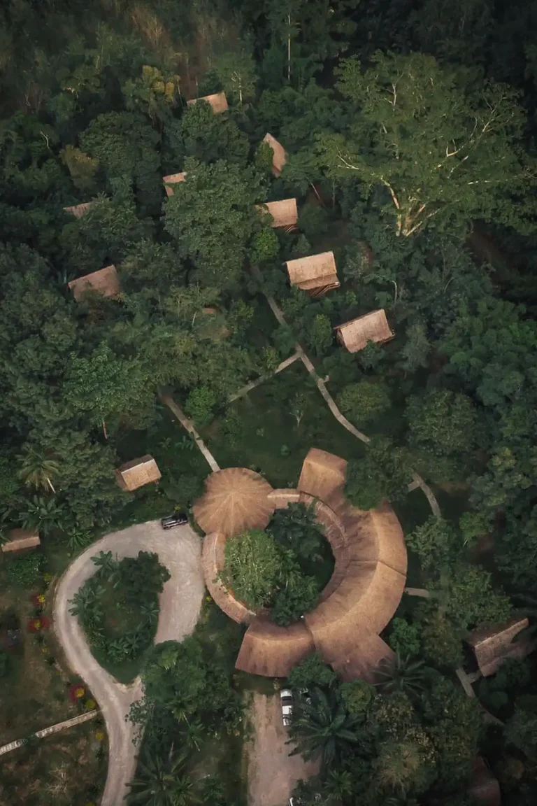 our-jungle-camp-02