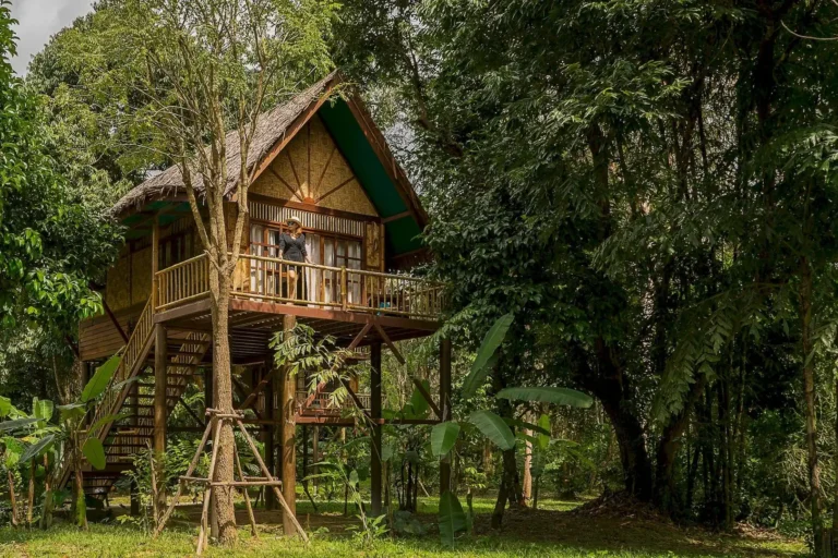our-jungle-camp-04