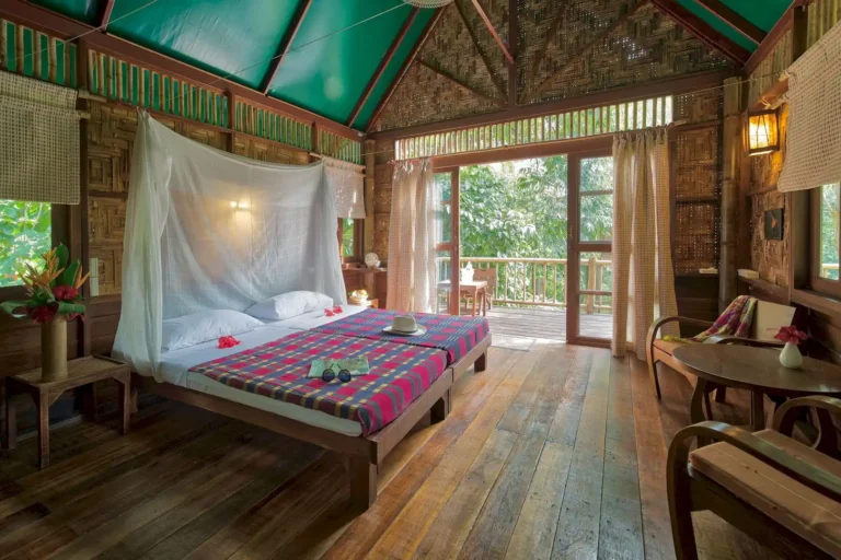 our-jungle-camp-05