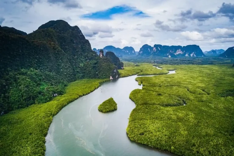 Vue aérienne de la mangrove et des rivières karstiques d'Ao Thalane, cadre spectaculaire des excursions kayak à Krabi